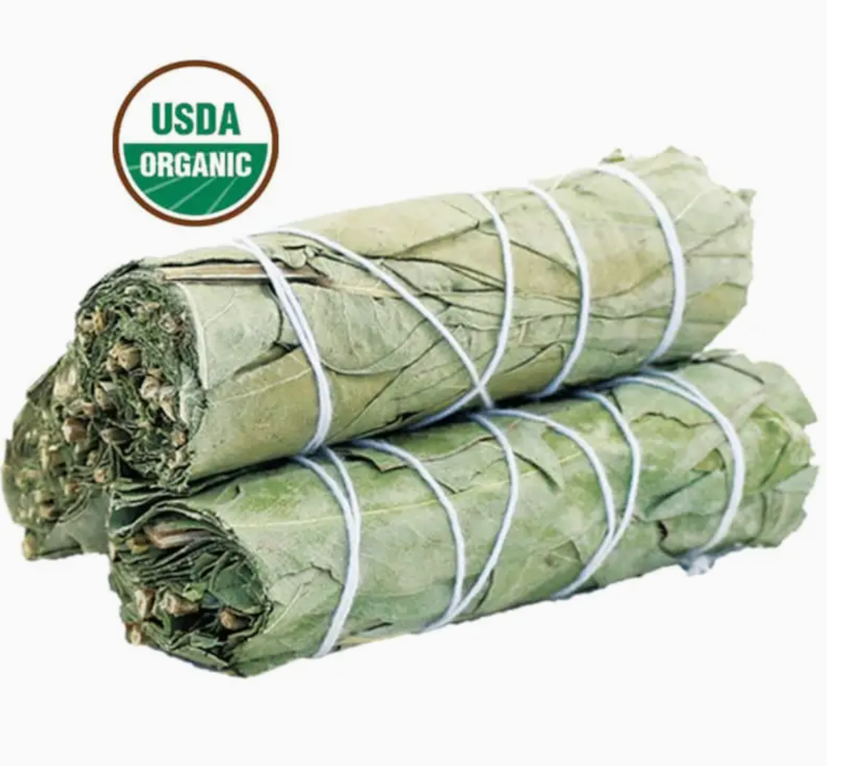 Eucalyptus Sage Smudge Stick (4 in.)