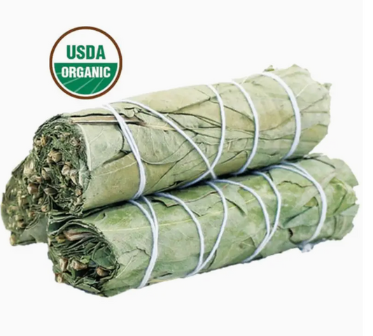 Eucalyptus Sage Smudge Stick (4 in.)